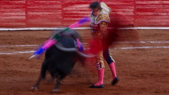 Juez rechaza suspender corridas de toros en la Plaza México