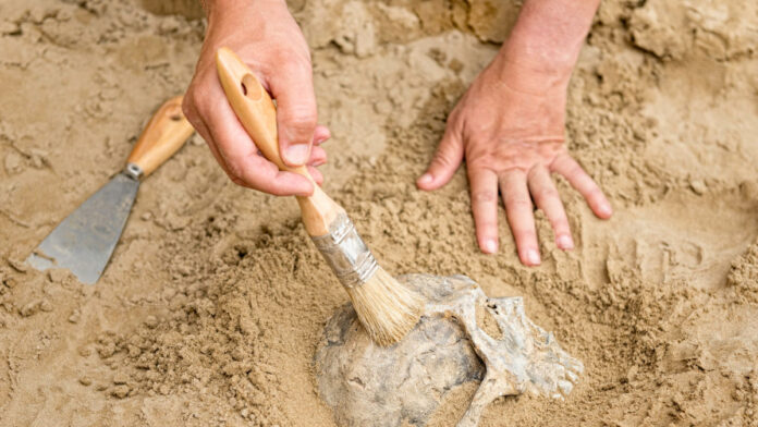 Descubren en España un cementerio prehistórico único en Europa