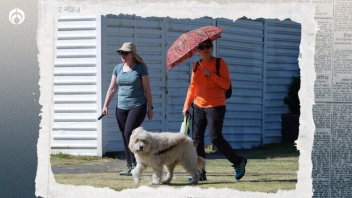 Clima hoy martes 20 de febrero: Frente Frío 36 ‘aterriza’ con heladas, vientos locos ¿y calorones?