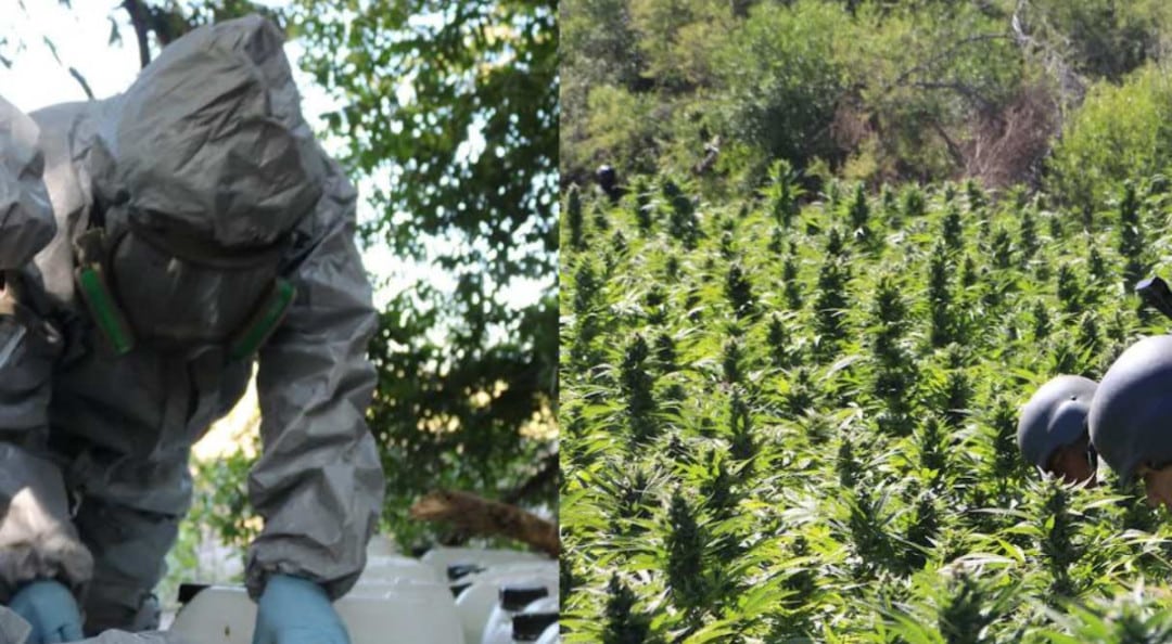 Militares aseguran laboratorio de metanfetamina y plantíos de mariguana en Sinaloa