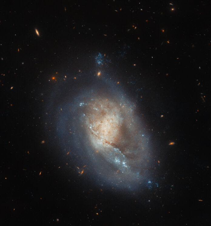 Hubble observa una galaxia activa en formación de estrellas