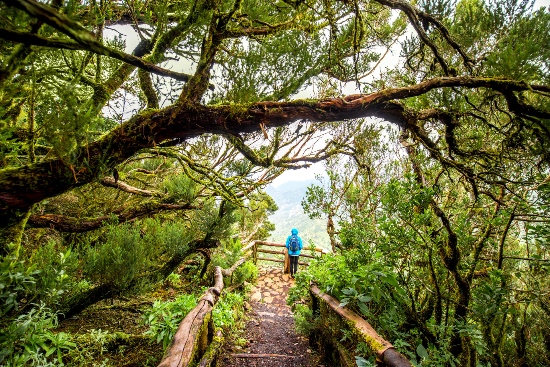 La Gomera / Getty Images