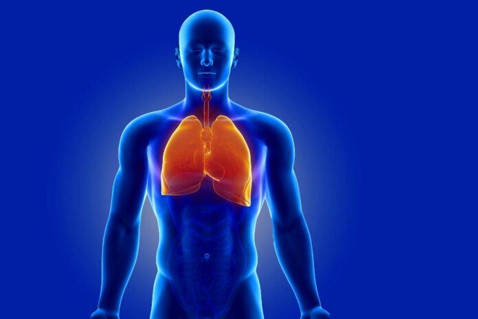 ¿Puedes desintoxicar tus pulmones?