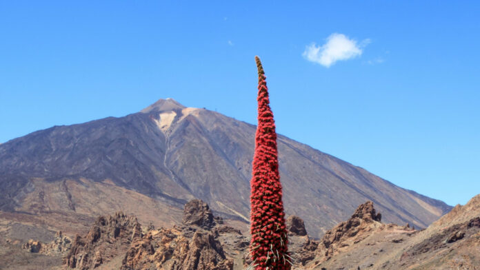 ¿Cuáles son los espacios naturales con mayor biodiversidad de España?