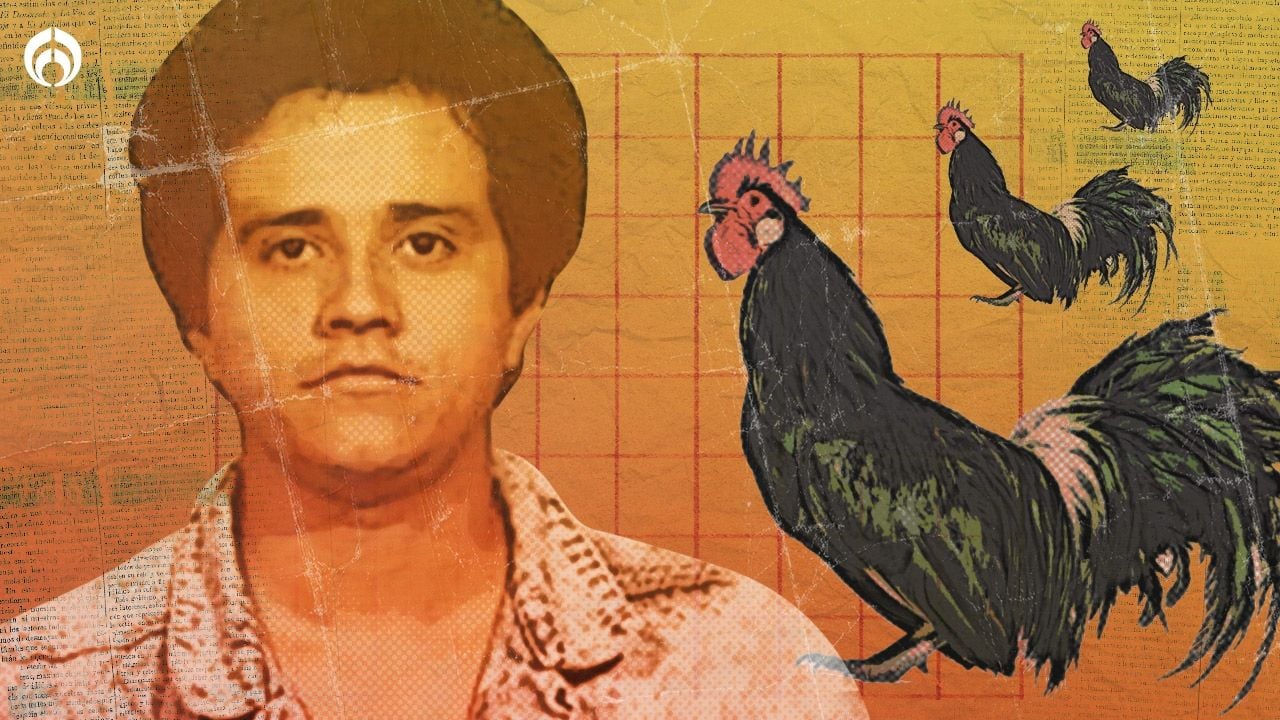 El Mencho Por Qué Apodan El Señor De Los Gallos Al Líder Del Cjng