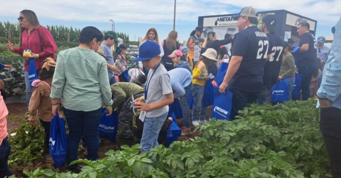 Participan niños y adultos en la gran cosecha Expoceres