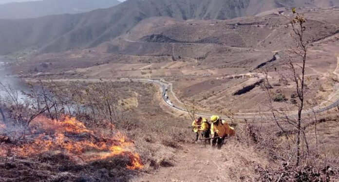 Incendios forestales opacan inicio de Semana Santa: reportan 58 siniestros activos  | El Universal