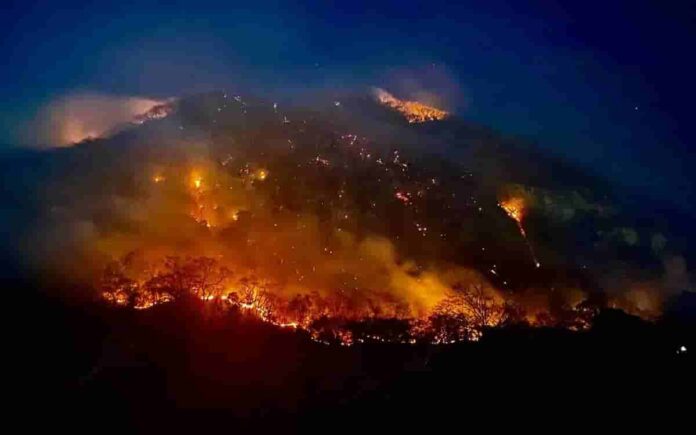 Reportan 11 incendios activos en Oaxaca