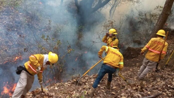 Autoridades en Oaxaca reportan 6 incendios forestales que se encuentran activos