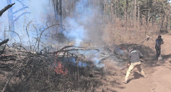 Voluntarios ayudan a combatir el fuego