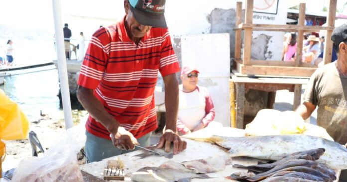 Con buenas ventas cierra la cuaresma mercado de mariscos en la Isla de la Piedra, en Mazatlán