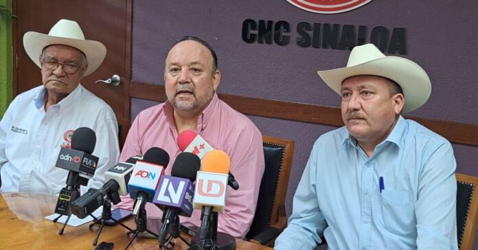 Agricultores piden a Rocha Moya atender extorsiones al transporte de carga