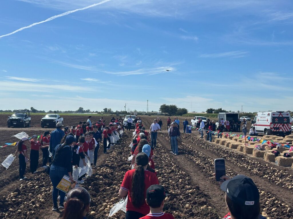 FESTIVAL DE LA PAPA GUASAVE4