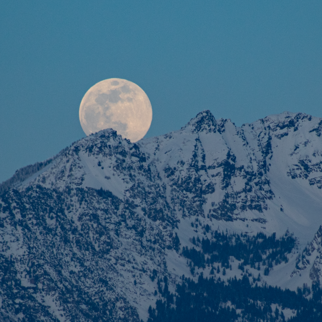 Marzo-abril de 2024: la próxima luna llena es la luna del cuervo, la corteza, la savia, el azúcar o el gusano