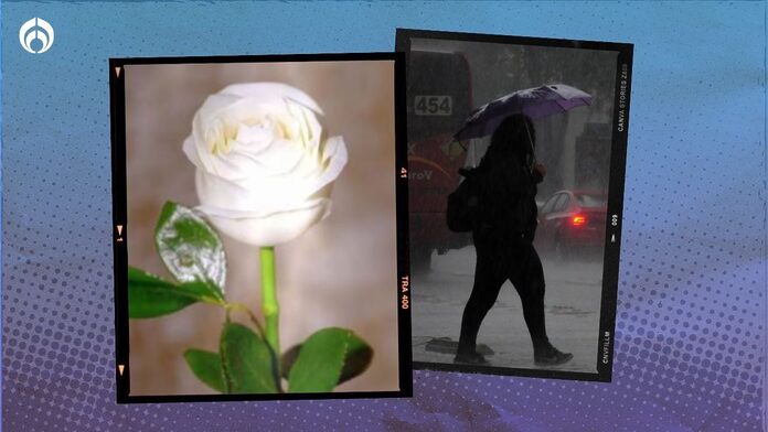 Clima hoy jueves 4 de abril: ¿Y esta rosa? Lluvias y ventarrones ‘refrescarán’ estos estados