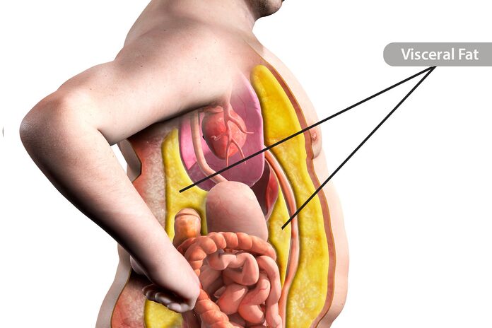 La verdad sobre la grasa abdominal