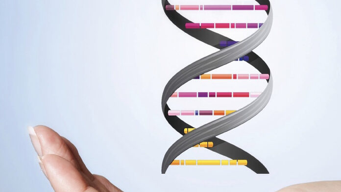 El ADN: la molecula esencial para la vida, y el juguete de la evolución