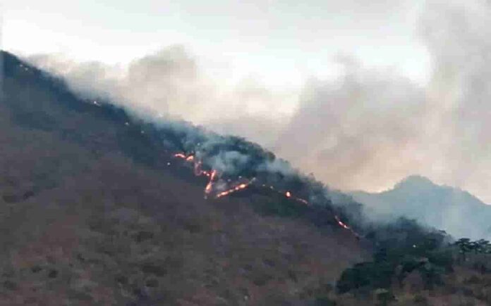 Incendio la Selva de los Chimalapas, Oaxaca, consume 16 mil hectáreas de bosque; lleva 18 días activo