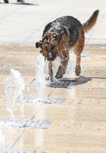 Refrescante