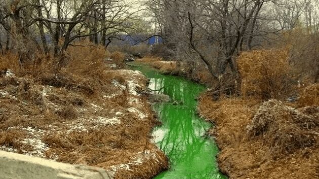 VIDEO: Río en Rusia se tiñe de color verde y desata preocupación por posible toxicidad