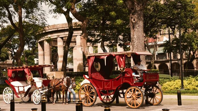 Caballos calandrias de Guadalajara no fueron rescatados de explotación animal, denuncia activista