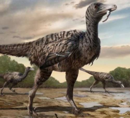 Descubren huellas de velociraptor de tamaño mayor al rango de la especie
