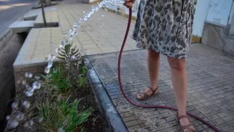 ¿En plena sequía y tus vecinos están desperdiciando el agua? ¡Denúncialos! Se están aplicando multas