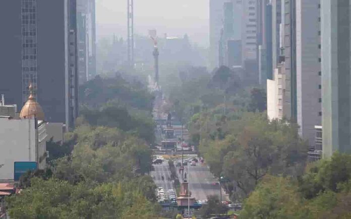 Doble Hoy No Circula: Estos autos descansan el 1 de mayo