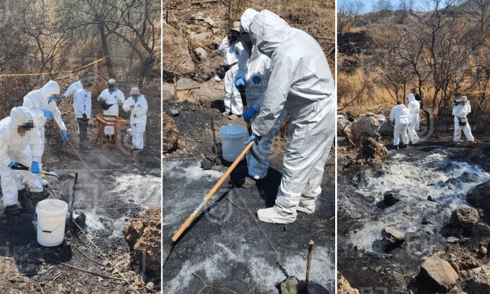 Restos hallados en presunto crematorio clandestino son de origen animal: Fiscalía de CDMX