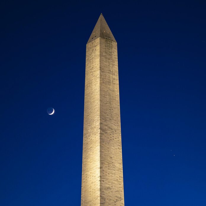 Un trío iluminado por la luna