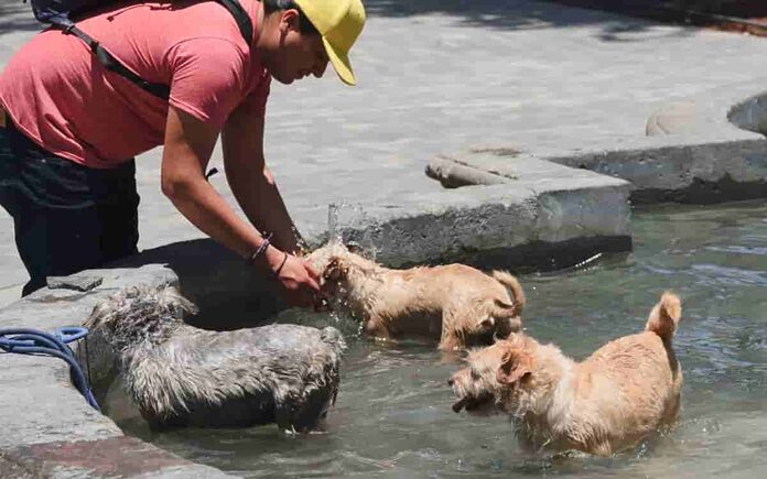 ¡33 grados! Doble alerta por altas temperaturas en CDMX