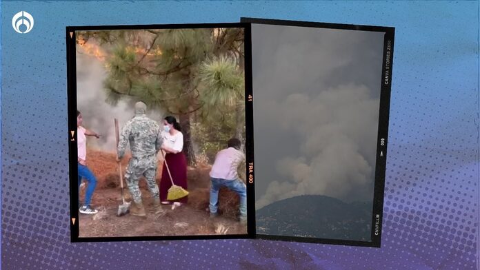 ‘Como ciudadana’: Michelle Núñez se une al combate de incendios en Valle de Bravo