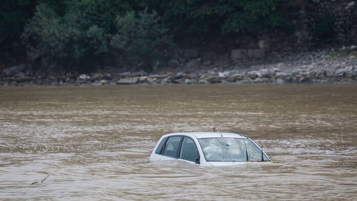 Un caimán provoca un accidente en Estados Unidos que acaba con un Honda Fit en el fondo de un pantano