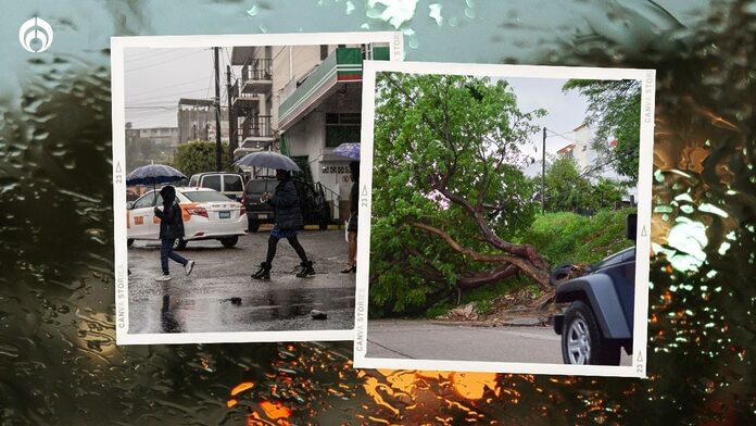 Clima hoy lunes 27 de mayo: tornados y chubascos ‘asedian’ a estos estados