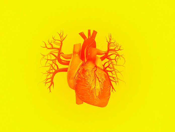 Seis señales de problemas cardíacos que incluso los jóvenes deberían conocer