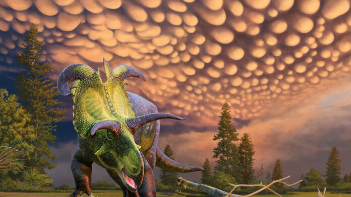Conoce a Lokiceratops, una especie de dinosaurio con dos grandes cuernos en forma de cuchillas