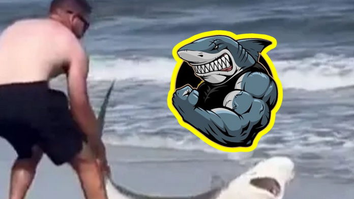 Hombre ‘pelea’ con tiburón y lo arroja de nuevo al mar |  VIDEO