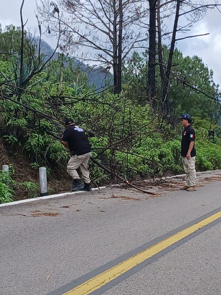 Deslaves por la carretera libre México 40 Mazatlán-Durango