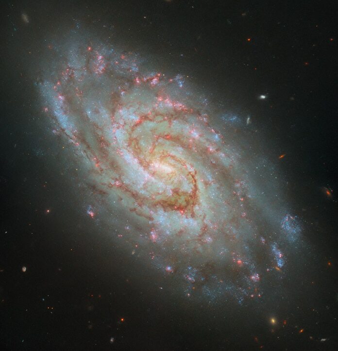 Hubble captura los viveros de Steller en una espiral majestuosa