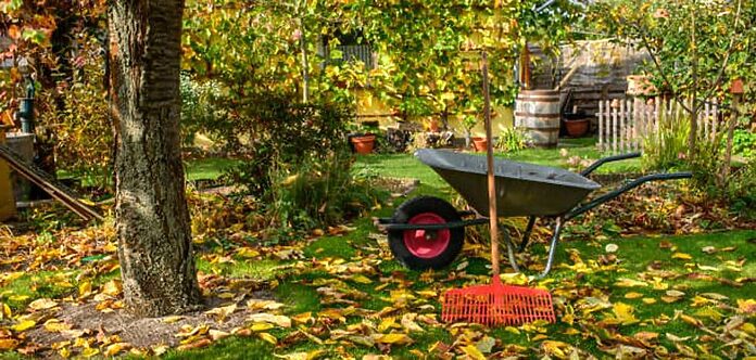 Cuatro cuidados básicos que necesitan las plantas de tu terraza y el césped del jardín antes de que llegue el frío