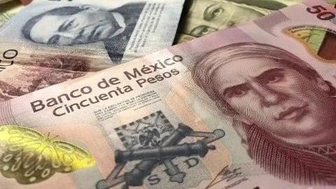 ¡Atención! Salen de circulación los billetes de 50 y mil pesos en México