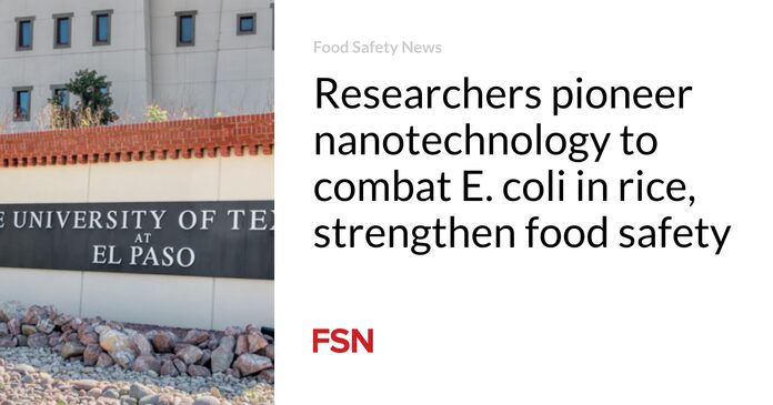 Los investigadores son pioneros en la nanotecnología para combatir la E. coli en el arroz y fortalecer la seguridad alimentaria