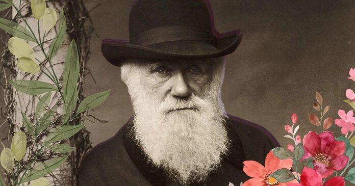 Lo que nunca te contaron sobre el lado botánico de Charles Darwin