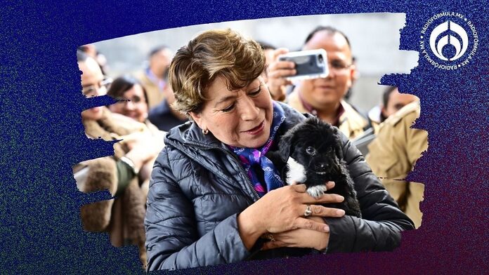 Delfina Gómez inaugura foro de Bienestar Animal: ‘tenemos un legado de paz’