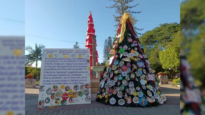 Madres en búsqueda transforman árboles en homenaje a los desaparecidos