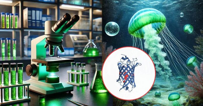 Una proteína que tardaría 500 millones de años en aparecer de forma natural es creada por una Inteligencia Artificial en tan solo unos meses